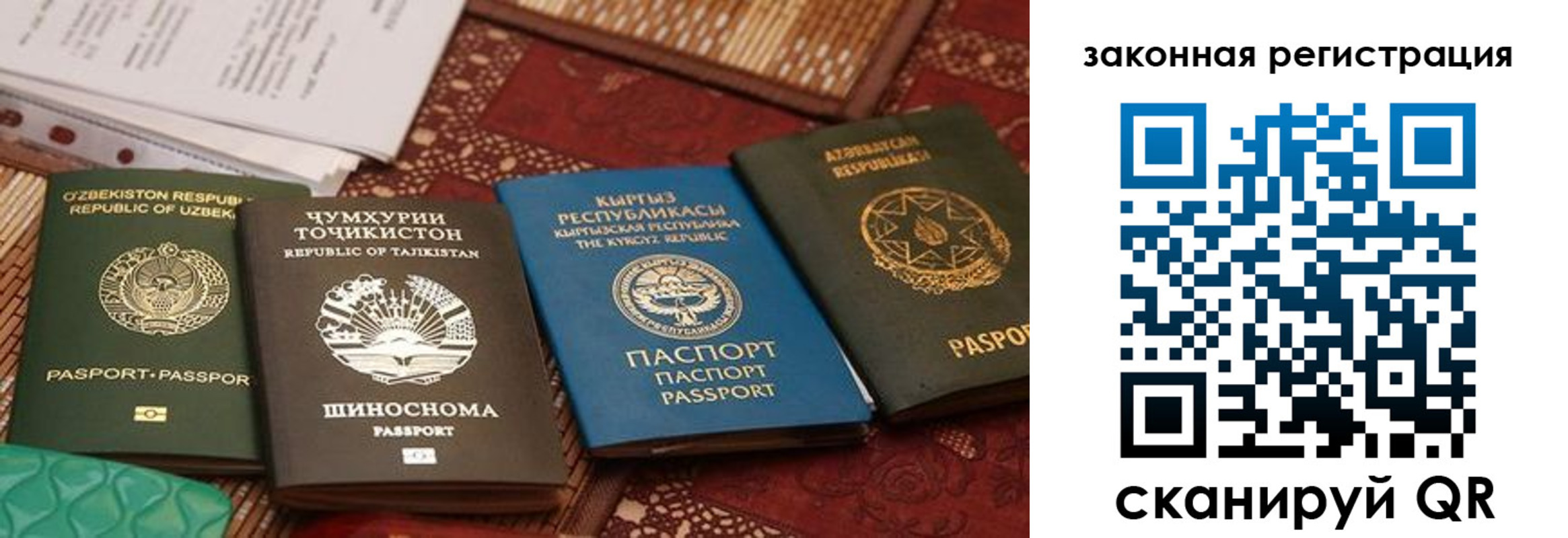 пропишу в квартире в Новгородской области